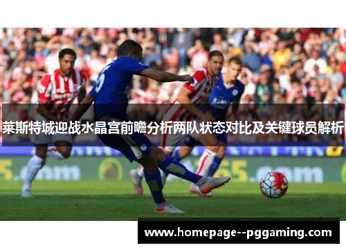 莱斯特城迎战水晶宫前瞻分析两队状态对比及关键球员解析 莱斯特城迎战水晶宫前瞻分析两队状态对比及关键球员解析