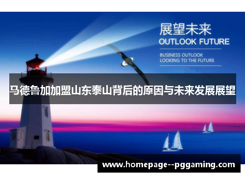 马德鲁加加盟山东泰山背后的原因与未来发展展望