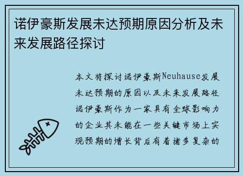 诺伊豪斯发展未达预期原因分析及未来发展路径探讨